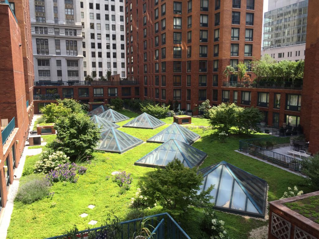 NYC Green Roofs